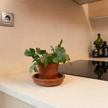 Casilla's House En Indautxu *