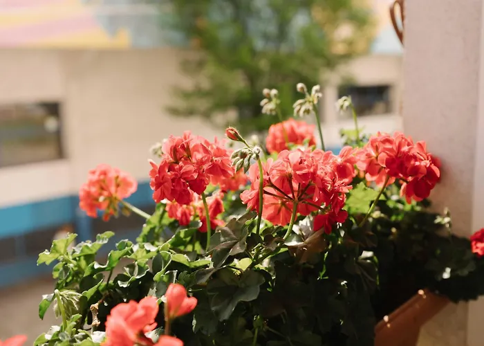 Casilla's House En Indautxu Бильбао